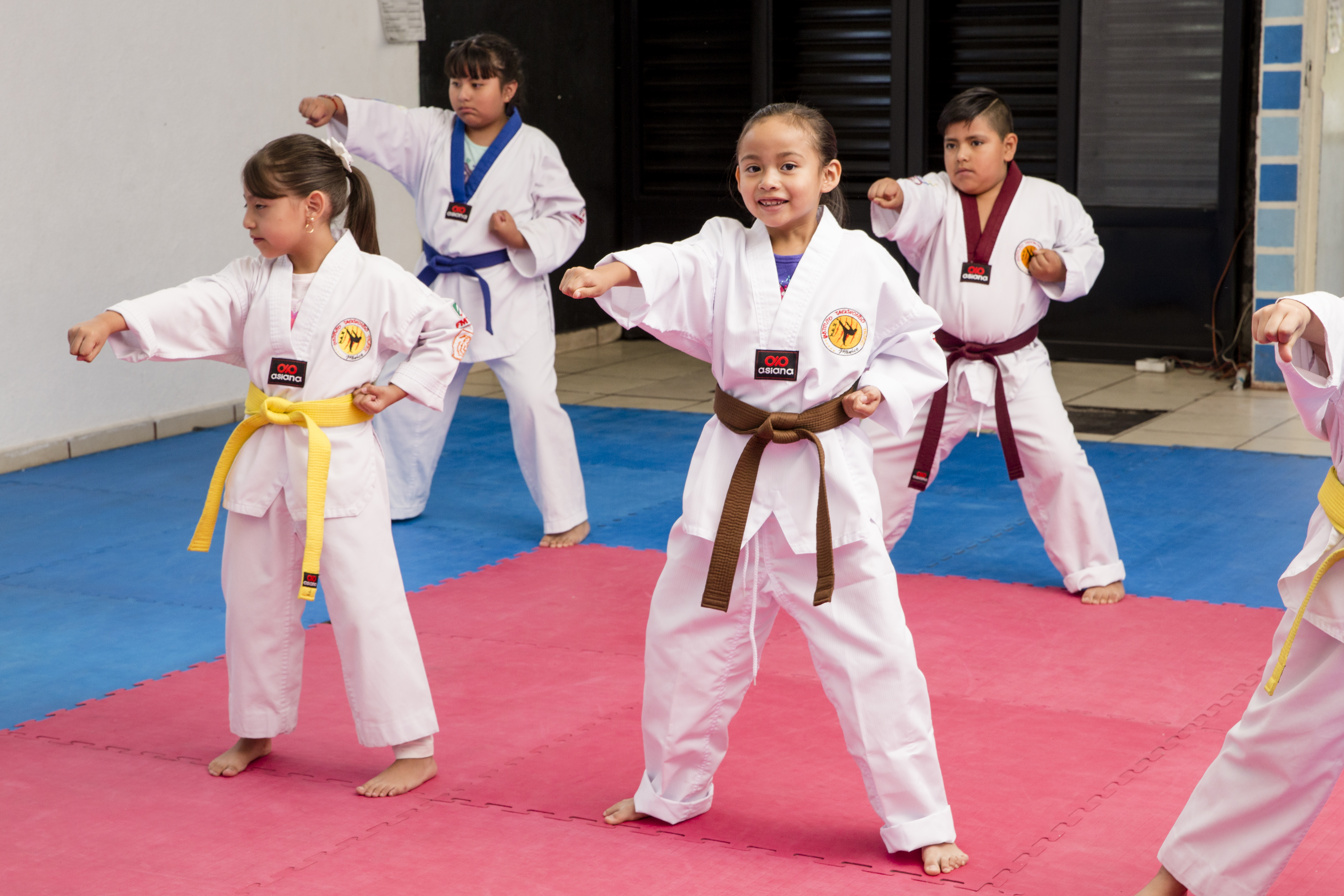 Programa de Tae-Kwon-Do