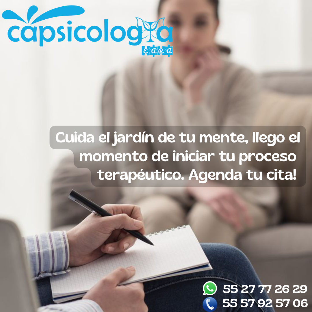 Promoción CAPSI