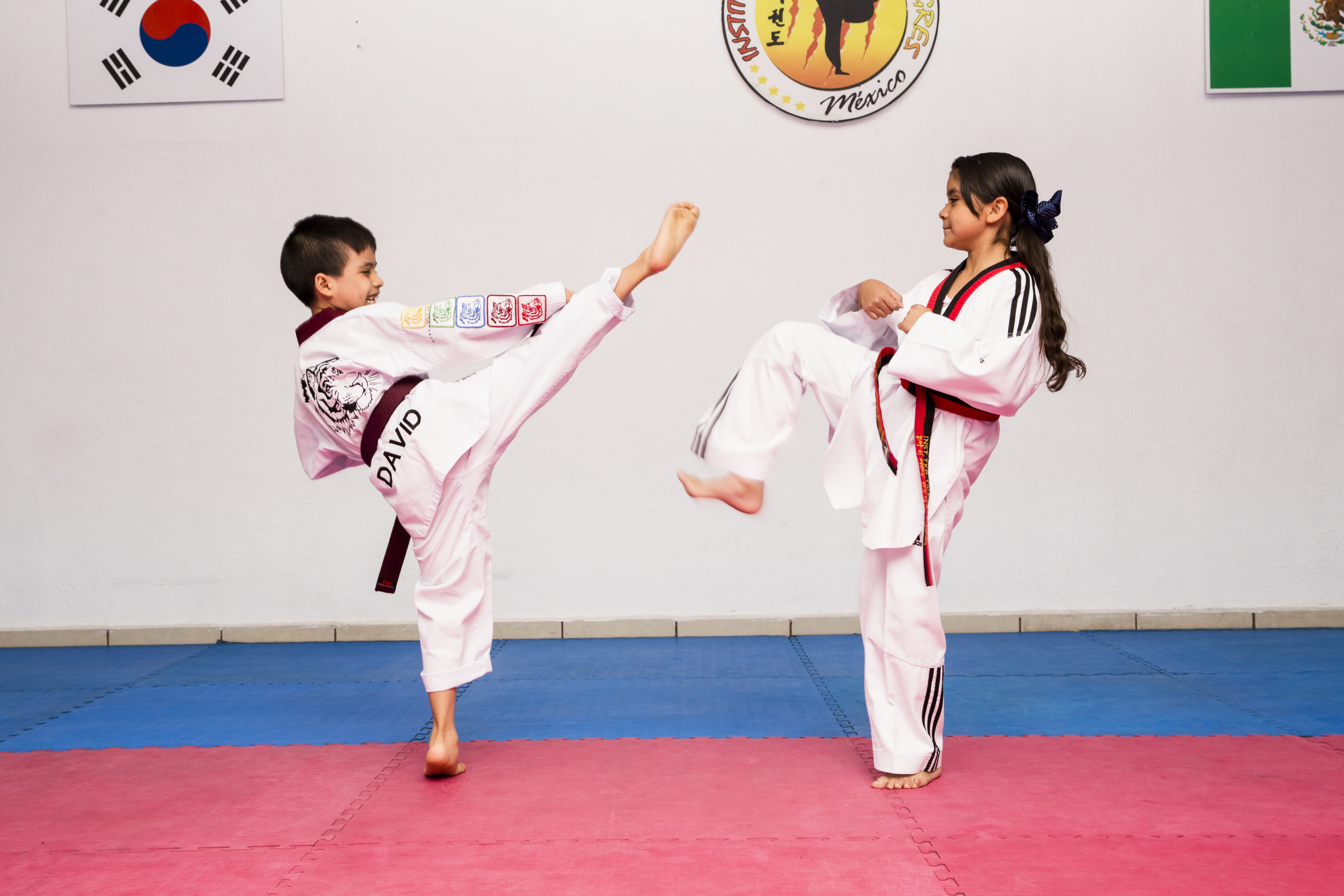 Tae Kwon Do